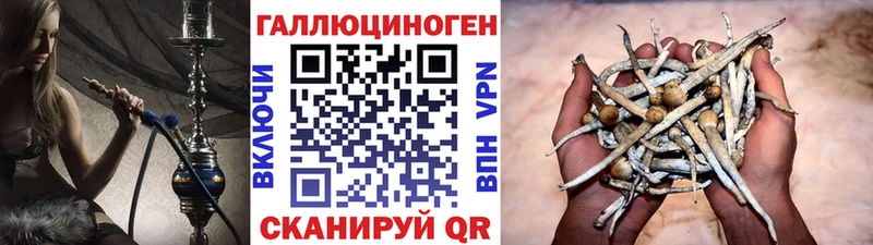 Псилоцибиновые грибы GOLDEN TEACHER mega сайт Поворино